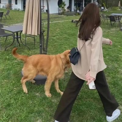 双重追捕血拼金三角